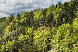 Vercors Landscape