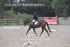 BPP_6033