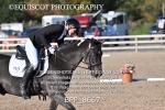 BPP_8667