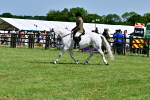 SBM_08047
