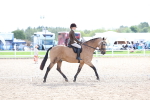 Class 315 - Best Horse - Rider Combination portfolio