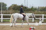 SBM_004310