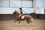 SBM_001576