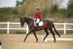 SBM_001337