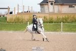 Cls 5 Pony British Novice and 80cm portfolio