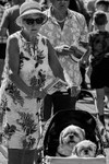 The Proud Grandmother of Twins 01