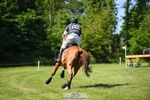 370-DUKE_LEGACY-William_Fox-Pitt-XC portfolio