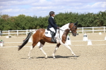 SBM_014468