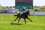 220426-Race 3-Cranachan-0311
