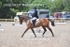 BPP_0337