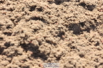 240629A-183358-09338