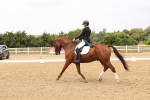 SBM_006453