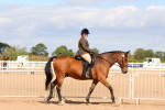 SBM_13458