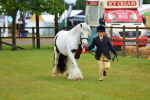 SBM_00979