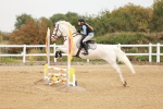 SBM_007811