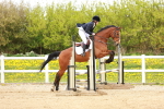 SBM_005008