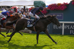 Race 6 4.45pm British EBF 40th Anniversary Convivial Maiden Stakes portfolio