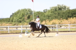 SBM_012290