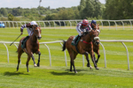 080624-Race 1-Rapido Girl-4477