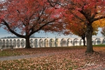Autumn in Shipoke Bridge
