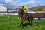 Race 3 portfolio