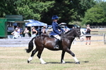 WJ7_3729