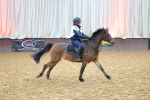SBM_001275