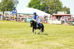 SBM_16719