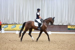 SBM_006236