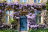 Blue flowered house _S022