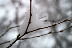 Snow - 18