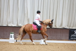 SBM_005877