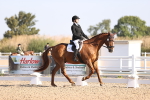 SBM_01626