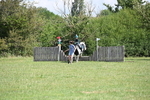 WJ6_4549