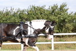 SBM_000878