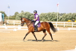 SBM_002653