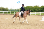SBM_006462