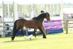 SBM_02059