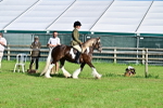 SBM_11376