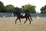 SBM_31139