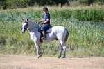 WJ7_7100