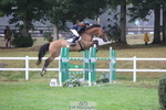 Cls 17 Snr Foxhunter portfolio
