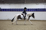 AJG_0685