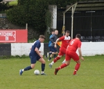 DSC01100