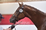 BPP_1244