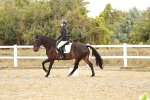 SBM_003756