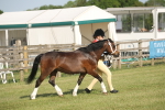 SBM_10309