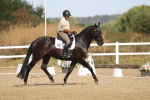 SBM_008282