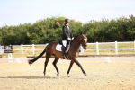 SBM_008558