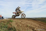 MX 291011 81